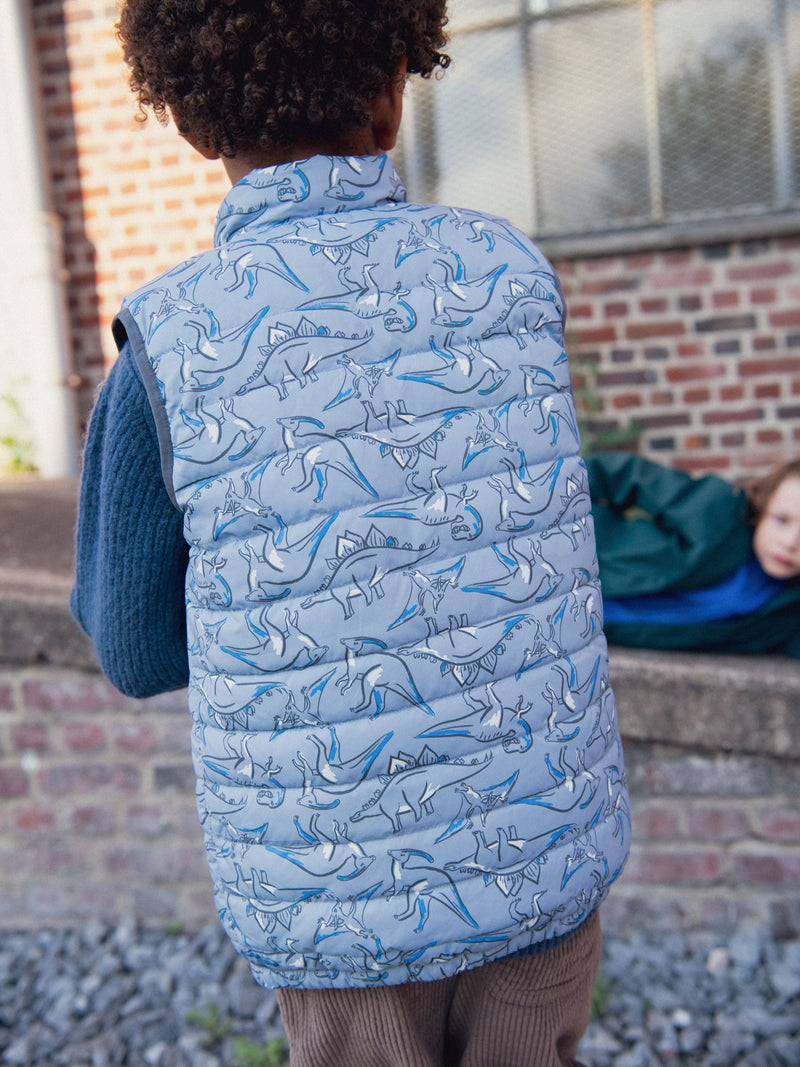 Chaleco sin mangas con estampado de dinosaurios para niño
