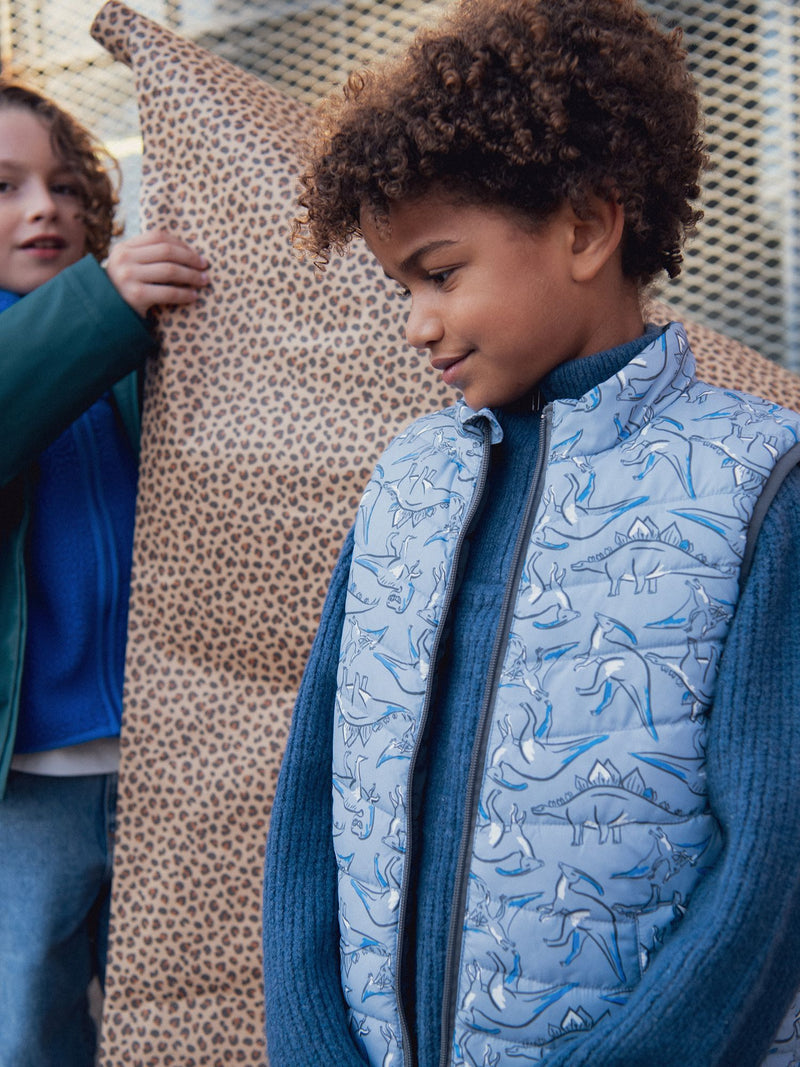 Chaleco sin mangas con estampado de dinosaurios para niño