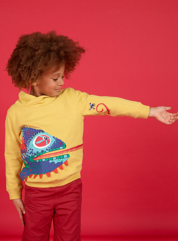 Sudadera - Cuello alto - Niño LOROUSWE / 21S902K1SWE102