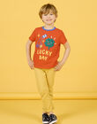 Camiseta rojo anaranjado con estampado de trébol para niño NOLUTI4 / 22S902P3TMCF527
