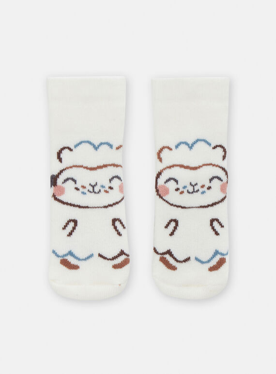 Calcetines de color Crudo VOU1CHO1 / 24WF41C1SOQ001