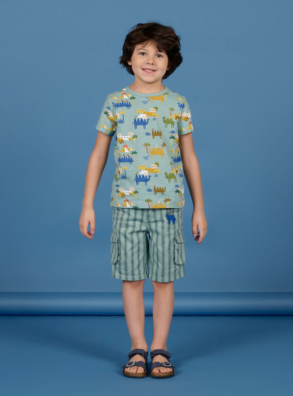 Bermudas de color verde agua de rayas para niño NOSANBER3 / 22S902S3BER614