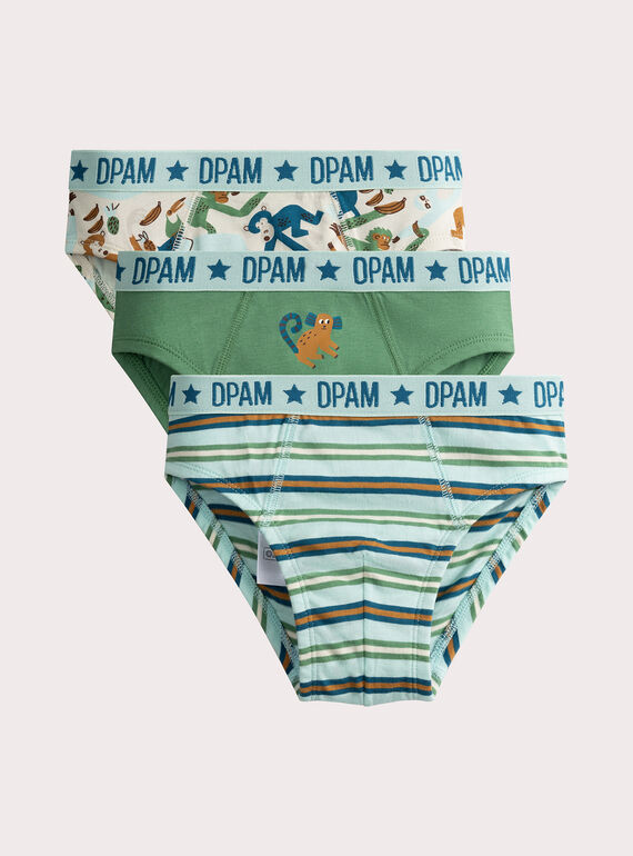 Lote de 3 calzoncillos con estampado anamalier para niño  VEGOSLIJUN / 24WH1282D5L204