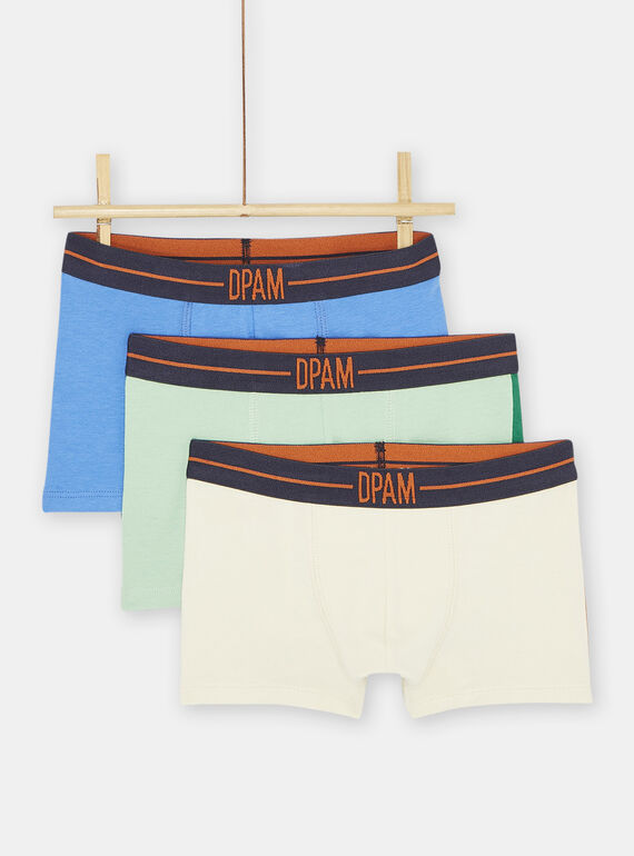 Pack de 3 calzoncillos de color azul, verde y amarillo para niño SEGOBOXANI / 23WH1266BOXC228