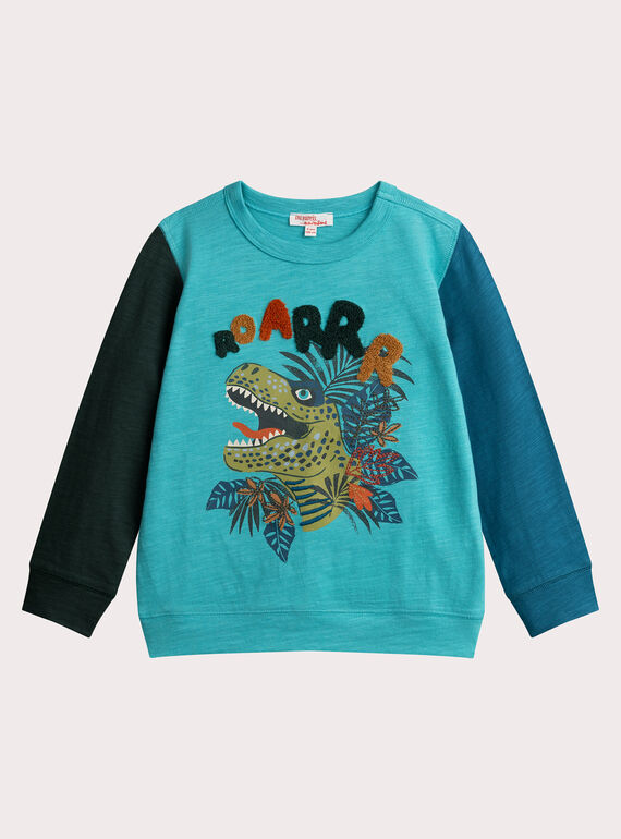 Camiseta tricolor de animación dinosaurio para niño  VOKLITEE1 / 24W90242TML202