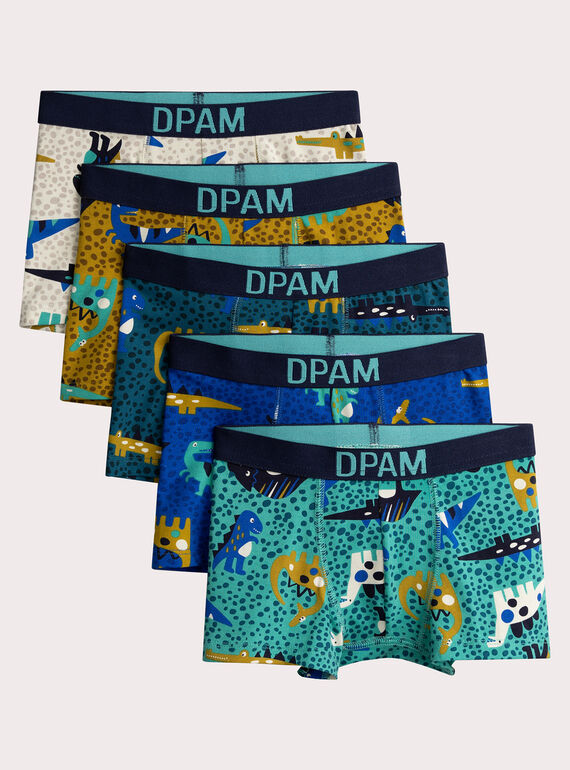 Lote de 5 calzoncillos con estampado de dinosaurio para niños  VEGOBOXSEM1 / 24WH1283BOX209