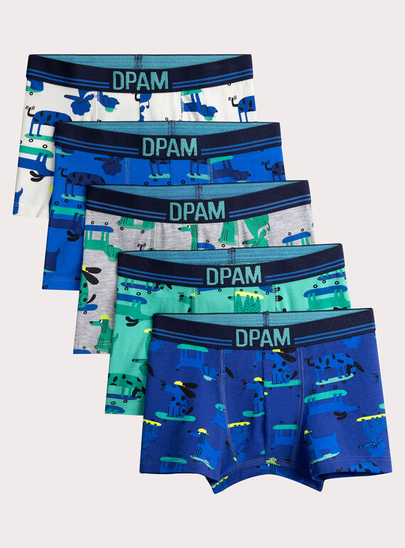 Lote de 5 calzoncillos con estampado de perro para niño  VEGOBOXSEM2 / 24WH1281BOXC214